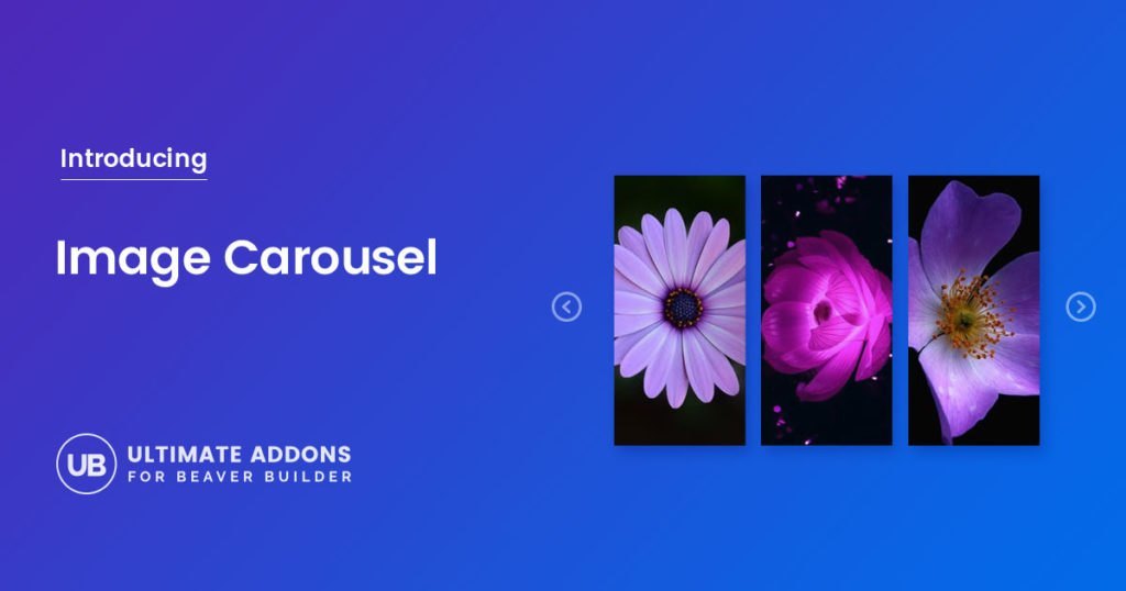 Image Carousel 1024x538