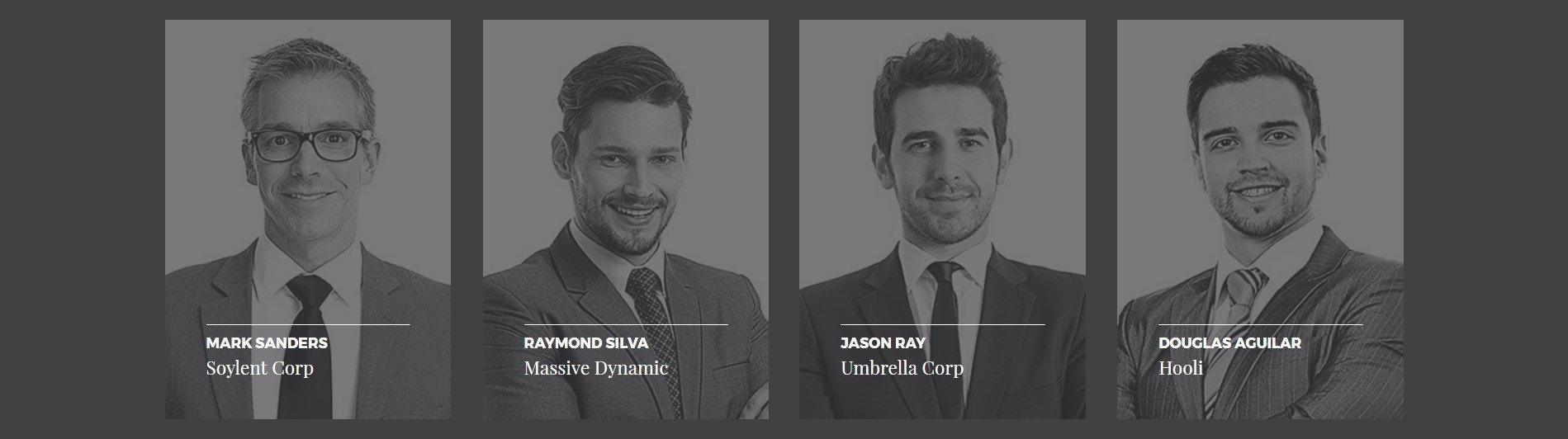 Presentors In Team Section V