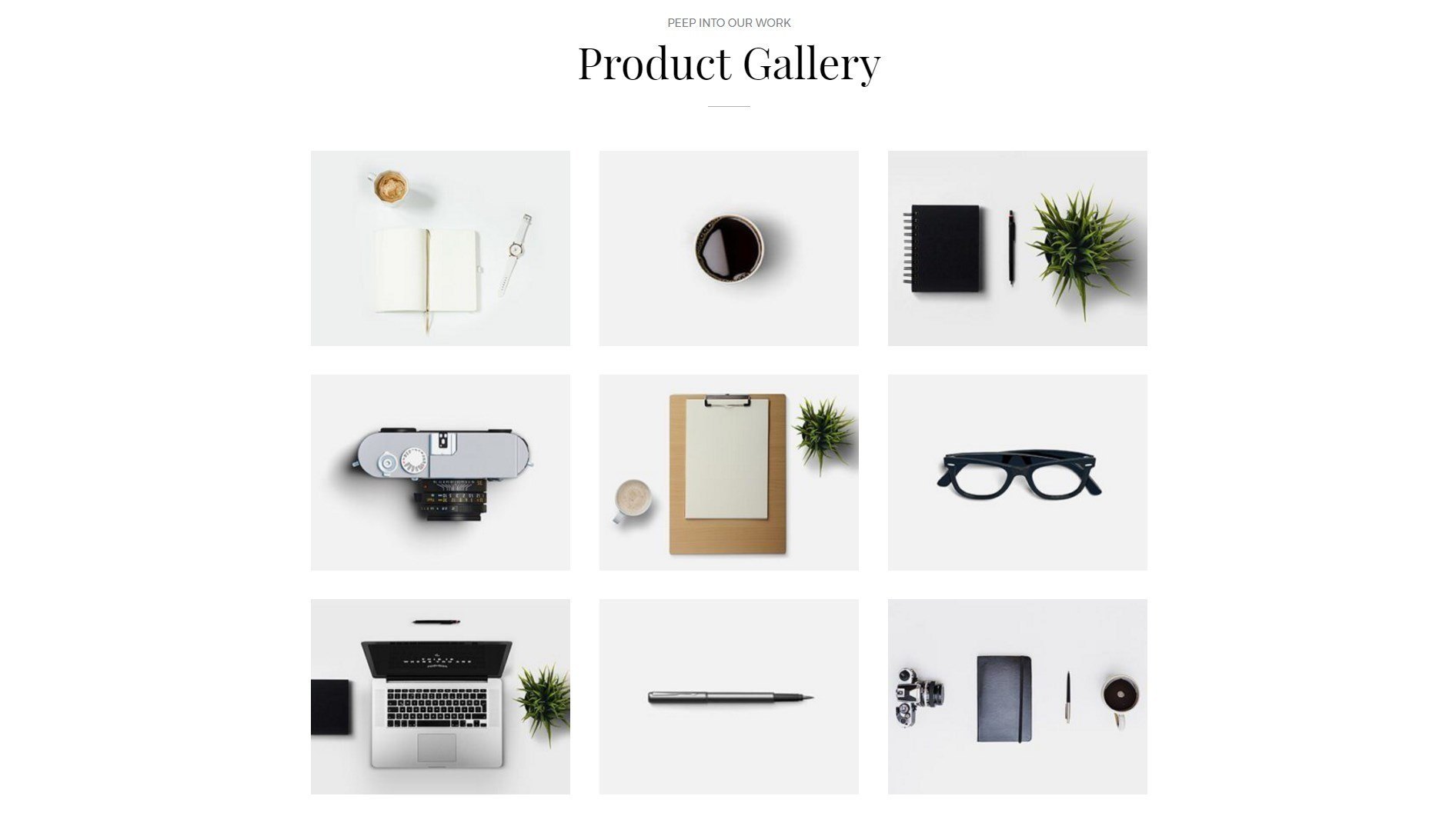Product Gallery Module Agency Product Page Template