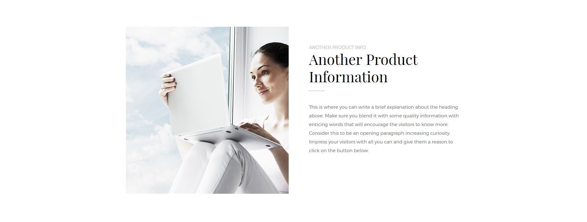 Product Info Section 2 Agency Product Page Template