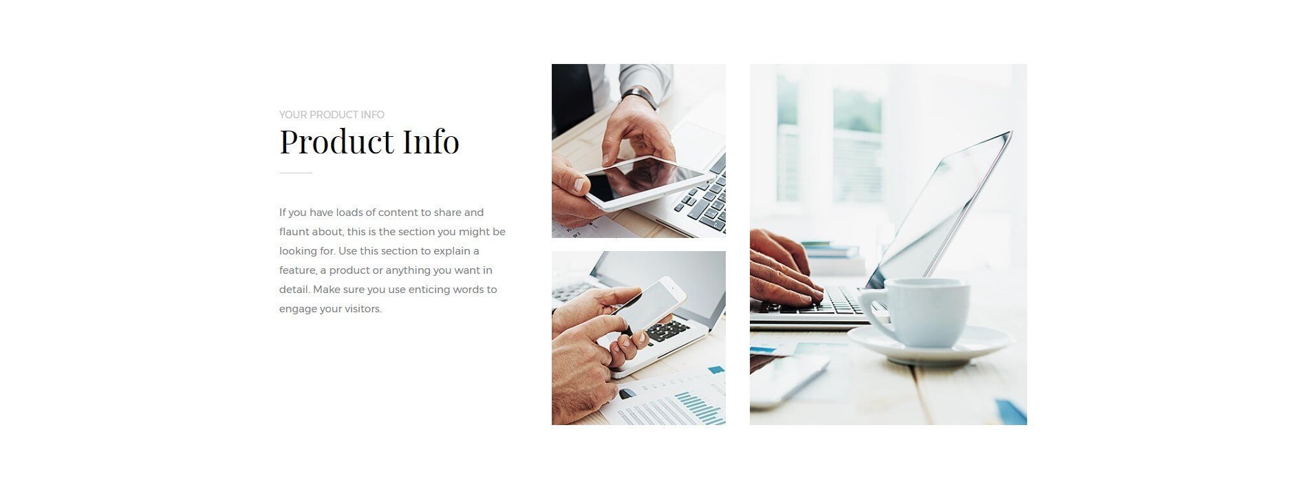 Product Info Section Agency Product Page Template