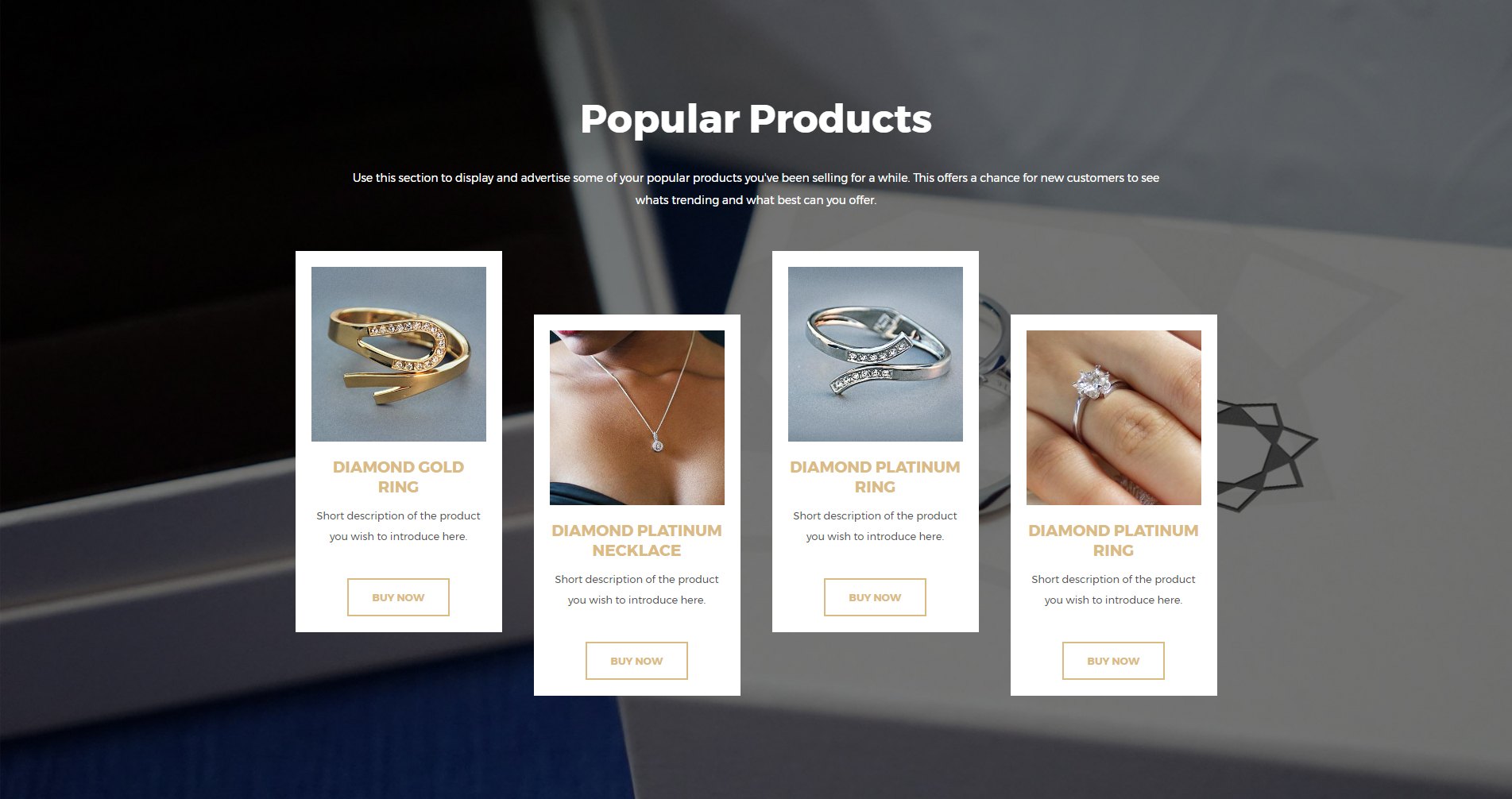 Jewelry Store Template Popular Products